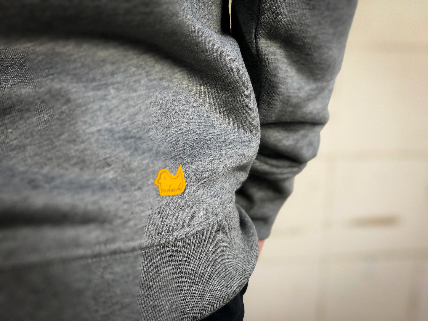 Dagegen Sweatshirt für Männer in grau aus Biobaumwolle mit lustigem Brustlogo aus Flock